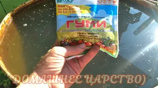 Чем подкормить ваши томаты! Гуми оми!