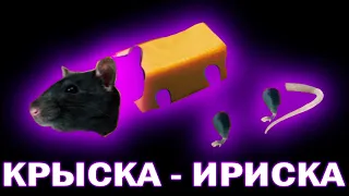 ✅По слогам - КРЫСКА - ИРИСКА 🐀🍬