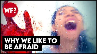 Why We Like To Be Scared | Do You Enjoy Fear?  This video will scare you. 😱