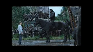 Meeting Scene | Dawn of the Planet of the Apes (2014)#LOWI