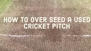 How to Over Seed a Used Cricket Pitch