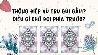 Thông điệp bạn cần lắng nghe lúc này từ Vũ trụ? Điều gì chờ đợi phía trước? | Trang Sirian