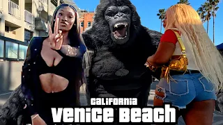 4k🚴KING KONG TUESDAY E-BIKE RIDE🌴Santa Monica TO Venice Beach🌴🌴California 🌊
