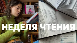 МАРАФОН РУССКИХ ПИСАТЕЛЕЙ 📖🍷 вино в книжном и выход из зоны комфорта