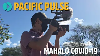 Pacific Pulse 311 - Mahalo COVID-19