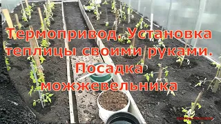 Термопривод. Установка теплицы своими руками. Посадка можжевельника.