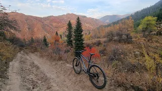 Вечерний съезд с горки. Cube Aim SL evening downhill.