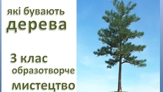 Які бувають дерева, 3 клас, образотворче мистецтво як намалювати дерево