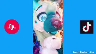 Furry Tik Tok Compilation #7 Ft The Cutest and The Most Cringe