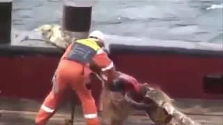 Anchor Handling Accident