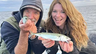 Mit so viel Fisch haben wir nicht gerechnet! | Makrelenangeln mit Nillchen auf der Ostsee!