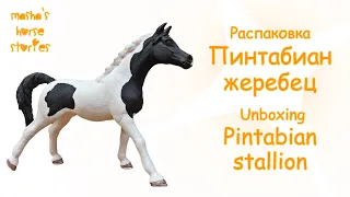 Распаковка жеребца пинтабиана Шляйх / Unboxing Schleich Pintabian stallion