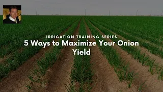 5 Ways to Maximize Your Onion Yield