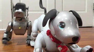 Old Aibo vs New Aibo: ERS-110 and ERS-1000