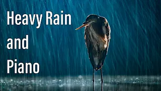 Relaxing Music & the Sound of Rain - Beautiful Piano Music for Meditation