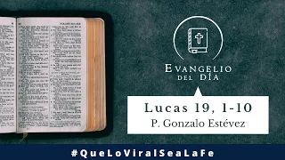 Evangelio del día - Lucas 19, 1-10 | 16 de Noviembre 2021