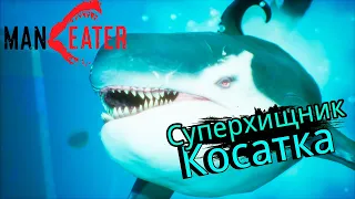 КОСАТКИ И ОХОТНИКИ - #9 MANEATER