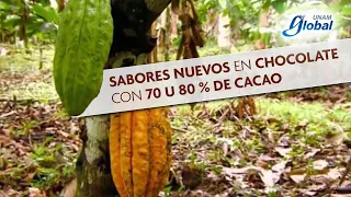 El chocolate, de los Mayas para el mundo   - UNAM Global