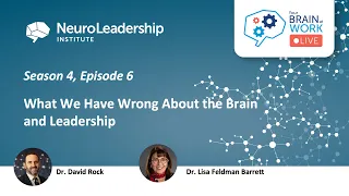 Your Brain at Work LIVE - 33 (S4:E6) - What We Have Wrong About the Brain and Leadership
