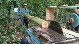 penggergajian kayu waru buat usuk dan balok untuk bahan kandang yang di pantau sama yang punya kayu