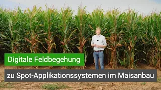 Digitale Feldbegehung zu Spot-Applikationssystemen im Maisanbau