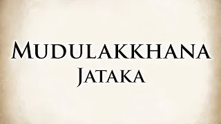 For the Sake of Desire | Mudulakkhana Jataka | Animated Buddhist Stories