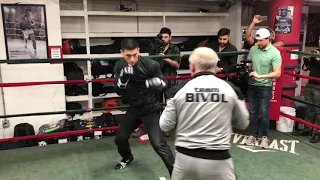 Dmitry Bivol training on pads