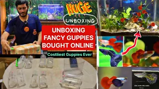 Unboxing Fancy Guppies,Snake skin, Dark Blue,Brazilian Red, Dumbo ears , & White Tuxedo Guppies