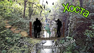 Тисо-Самшитовая роща! Прогулка по большому кругу до каньона Чертовы Ворота! Хоста!