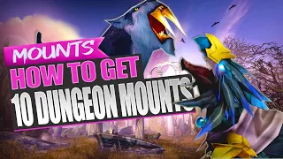 10 Easy Dungeon Mount To Get