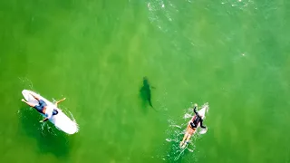 Testing Out A New Shark Repellent | Shark Deterrent | Shark Drone Footage | Surfer Repels Sharks?