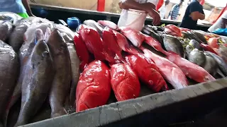Центральный рынок г. Виктория, о. Маэ, Сейшелы