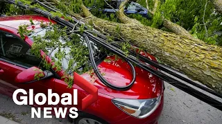 Province will cover full costs of deadly storm cleanup, Ottawa mayor says | FULL