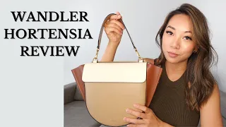 WANDLER HORTENSIA BAG REVIEW | Pros and Cons