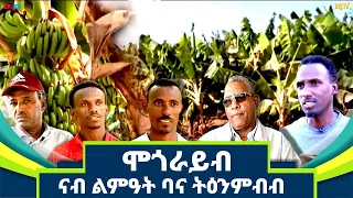 ሞጎራይብ - ናብ ልምዓት ባና ትዕንምብብ - መኣዝን ልምዓት | Mogorayib Agricultural project - meazin limeat - ERi-TV