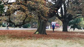 Man Walking by the Side of a Busy Road | Travel Fervor