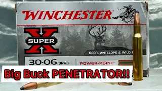 30-06 Winchester Super-X 165 grain Power Point Ammo Review & Ballistics Gel Test: Great Deer Ammo?