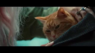 A Street Cat Named Bob - Stairwell Clip - At Cinemas November 4