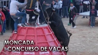 Las mejores vacas juntas / I Concurso de Vacas Moncada - Ganadora: 'Guasona' | 05/03/2016
