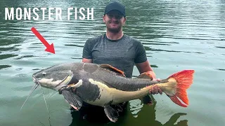 Exotic Fishing Thailand - Monster Catfish!!