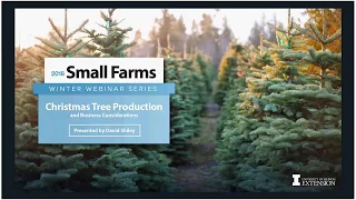 How to Start Your Own Christmas Tree Farm