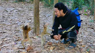 MORNING__ Abandoned monkey dances really impressive to welcome with HIS unique move 💞💞