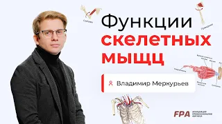 Функции скелетных мышц | Владимир Меркурьев (FPA)