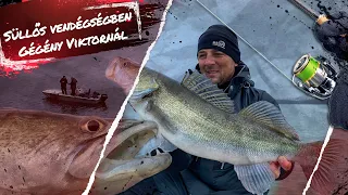 Spinning stories part 24. - Fishing for zander with Viktor Gégény