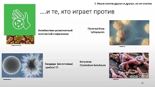 15x4 - 15 минут про бактерии