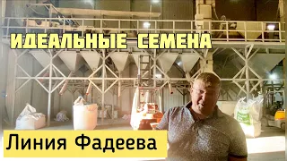 Как Александр Чумак делает семена идеальными