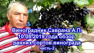 Обзор сортов винограда 10.08.2019 - часть2
