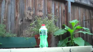 Shaking Soda Bottle explode