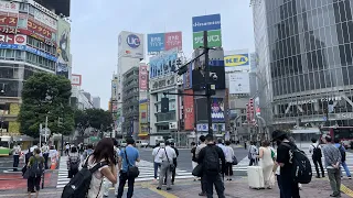 【4K】Tokyo Walk🇯🇵/Shibuya/渋谷/トリキバーガー/東京/散歩