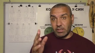 Что контролируют Чудесные Меридианы ?. Видео 2